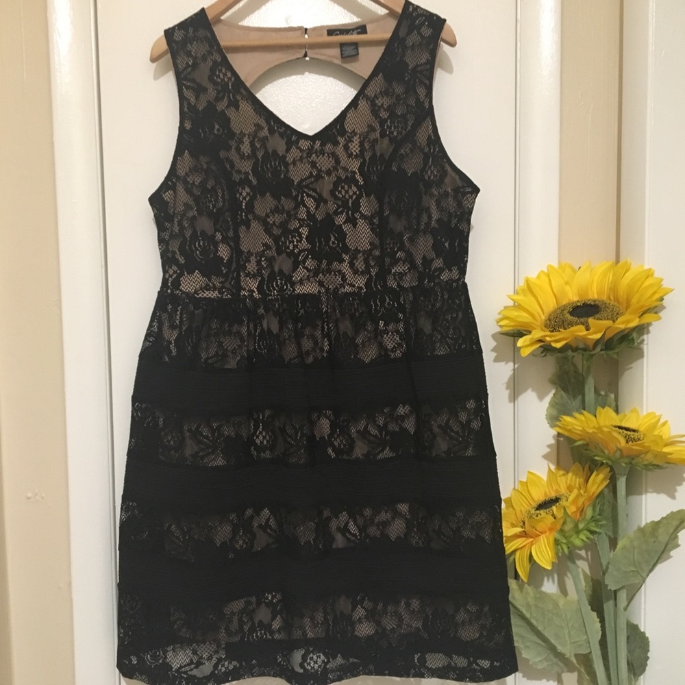 Like New! Fit & Flare Lace Dress in Black & Nude
